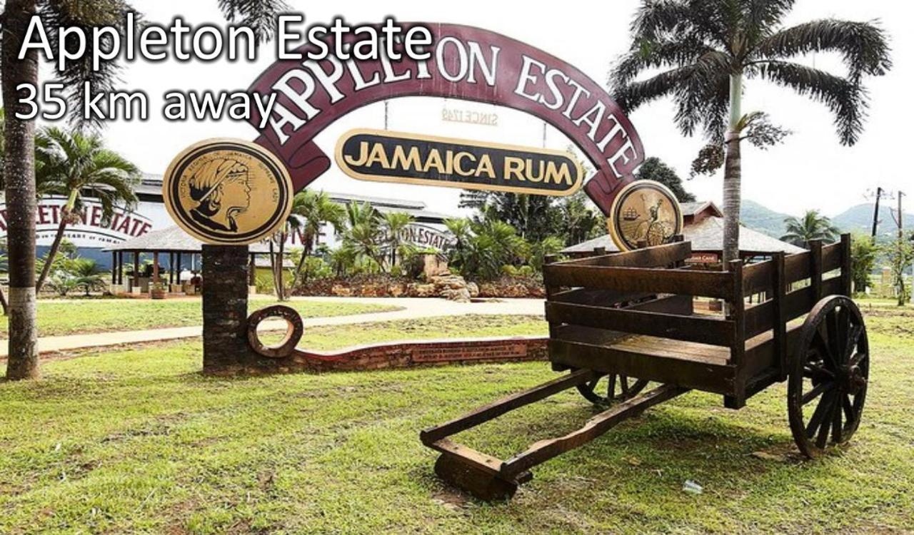Loodik Vacation Home Brompton Manor Black River Eksteriør bilde