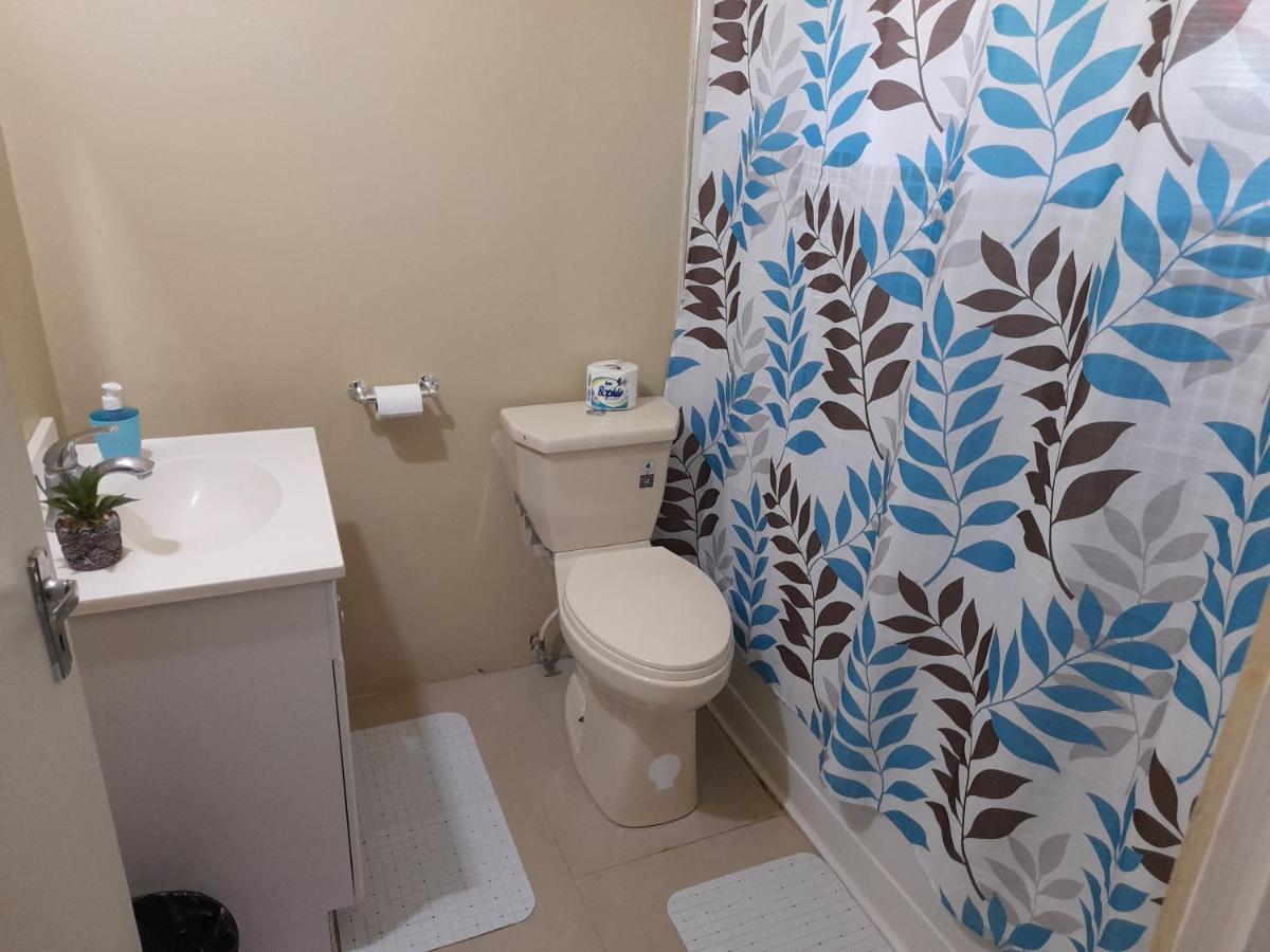 Loodik Vacation Home Brompton Manor Black River Eksteriør bilde
